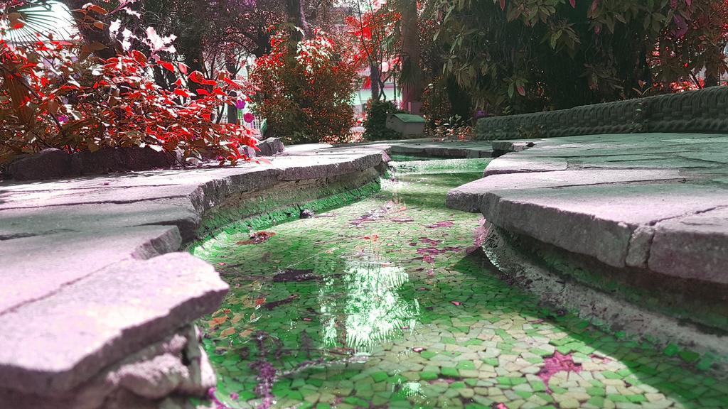 Hotel Terme Villa Piave Abano Terme Zewnętrze zdjęcie
